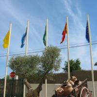 Banderas de izado en poliéster y mástiles de aluminio. Hispalcargo Sevilla
