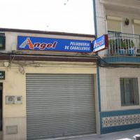 Rótulo luminoso. Peluquería Angel Dos Hermanas Sevilla