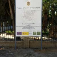 Valla publicitaria o cartelera, así como cartel de obra  panelable y rotulada con vinilo. Consurso para el Programa de Fomento Agrario del Ayuntamiento de Utrera Sevilla