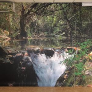 Fotomural de río majaceite del Bosque a Benamahoma Cádiz. Rotulación en vinilo especial de pared para despacho en Dos Hermanas Sevilla