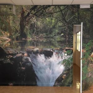 Fotomural de río majaceite del Bosque a Benamahoma Cádiz. Rotulación en vinilo especial de pared para despacho en Dos Hermanas Sevilla