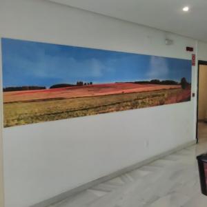 Fotomural en vinilo laminado en Apartahoel Simón Verde en Sevilla.