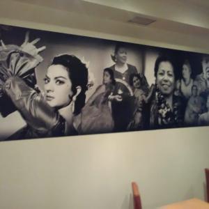 Rotulación de foto murales en vinilos especiales de pared. La cantaora en Sevilla.