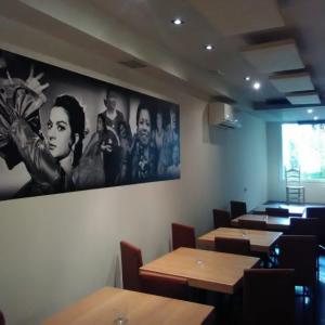 Rotulación de foto murales en vinilos especiales de pared. La cantaora en Sevilla.