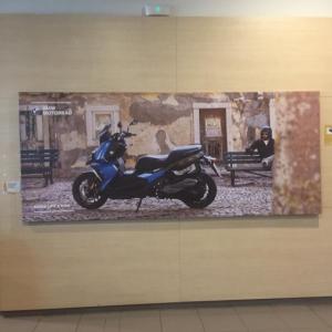 Decoración de instalaciones de Concesionario BMW Motorrad Todomoto en Sevilla. Lienzos, cuadros, textos recortados vinilos.