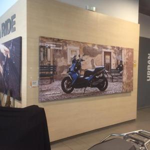 Decoración de instalaciones de Concesionario BMW Motorrad Todomoto en Sevilla. Lienzos, cuadros, textos recortados vinilos.