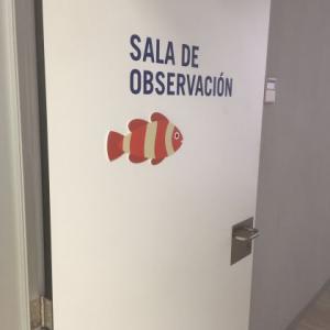 Decoración de interior de clínica de pediatría del Hopsital de Santa Isabel de Sevilla. Rotulación con vinilos al ácido en impresión digital. Dibujos corpóreos en PVC.