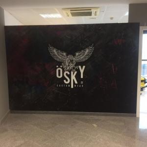 Fotomural en vinilo especial de pared. Trabajos Osky en Dos Hermanas Sevilla.